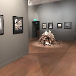 Photo n° 5 de l'avis de Mohammad.y fait le 09/12/2023 à 18:10 pour Musée de la Chasse et de la Nature à Paris