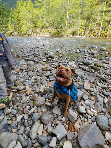 Pet Supply Store «Pet Place Market», reviews and photos, 213 Bendigo Blvd N #2, North Bend, WA 98045, USA