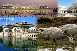 Bharatpur Live image