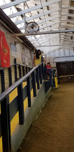 Hobby Store «Exeter Hobbies», reviews and photos, 130 E Maple St, Exeter, CA 93221, USA