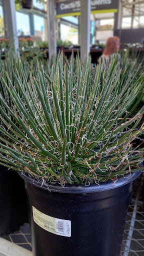 Home Improvement Store «The Home Depot», reviews and photos, 3838 Hollis Avenue, Emeryville, CA 94608, USA