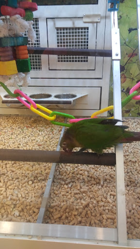 Pet Supply Store «PetSmart», reviews and photos, 11331 Causeway Blvd, Brandon, FL 33511, USA