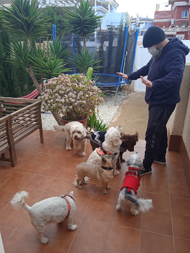Barbadog - Gran Alacant - Alicante