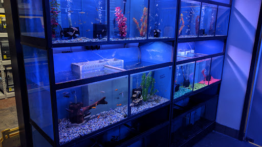 Pet Supply Store «House of Pets Inc», reviews and photos, 29500 Ford Rd, Garden City, MI 48135, USA