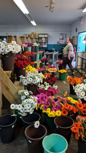 Dillon Floral Corporation, 933 Columbia Blvd, Bloomsburg, PA 17815, USA, 