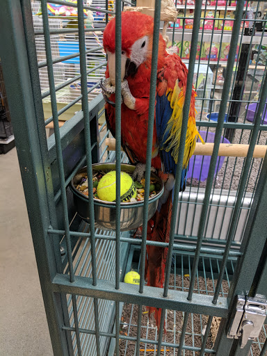 Pet Store «Carters Pet Mart», reviews and photos, 510 N Main St, Manteca, CA 95336, USA