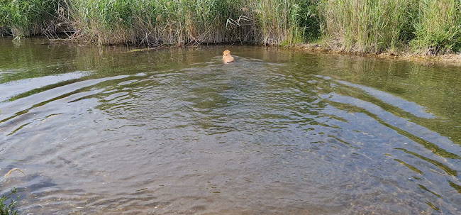 Parkovisko pri Hrádzi