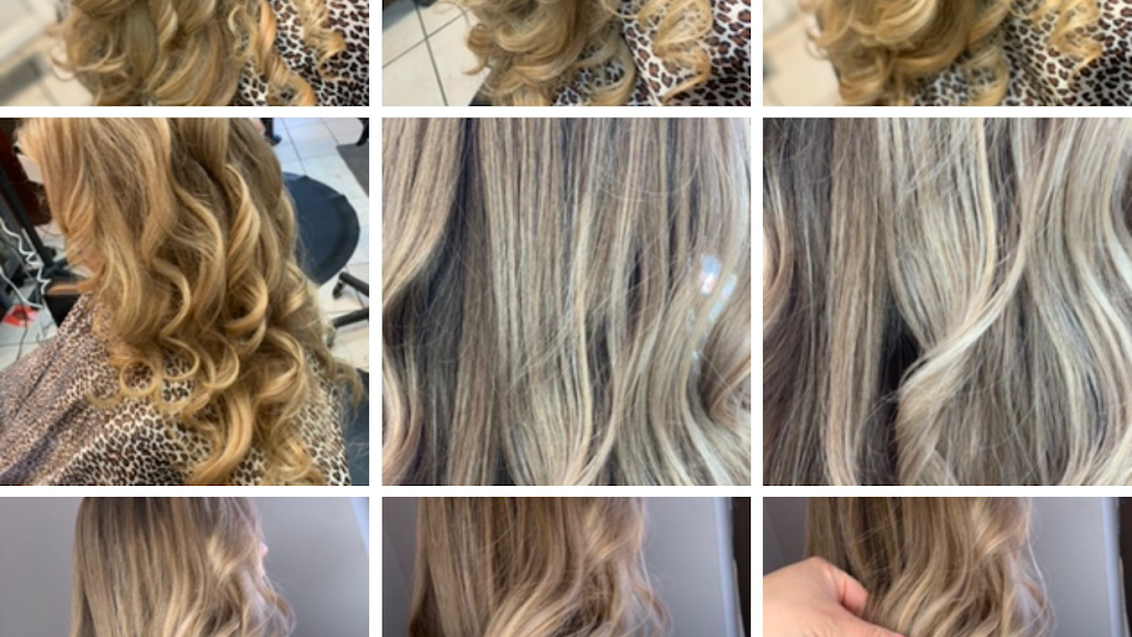 Lifestyles Hair Studio 01960