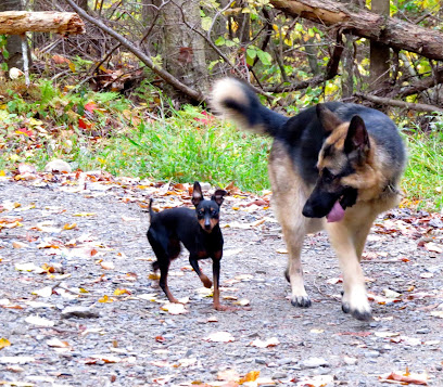 AF1QipMNUdTkrcseSLCrVS-RVyuGxCs4cpbE8e3qN_NB=w408-h357-k-no