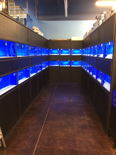 Pet Store «Woofs & Waves», reviews and photos, 5426 Arrowhead Pkwy E, Sioux Falls, SD 57110, USA