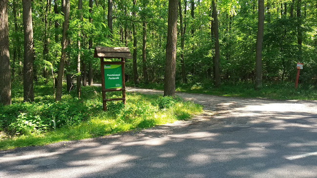 Pusztavacsi Parkerdő - Parkoló