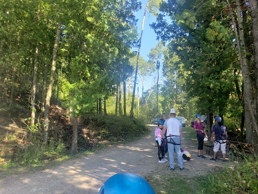 Tourist Attraction «Mystery Spot», reviews and photos, N916 Martin Lake Rd, St Ignace, MI 49781, USA