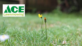 Ace lawnmowing and landscaping