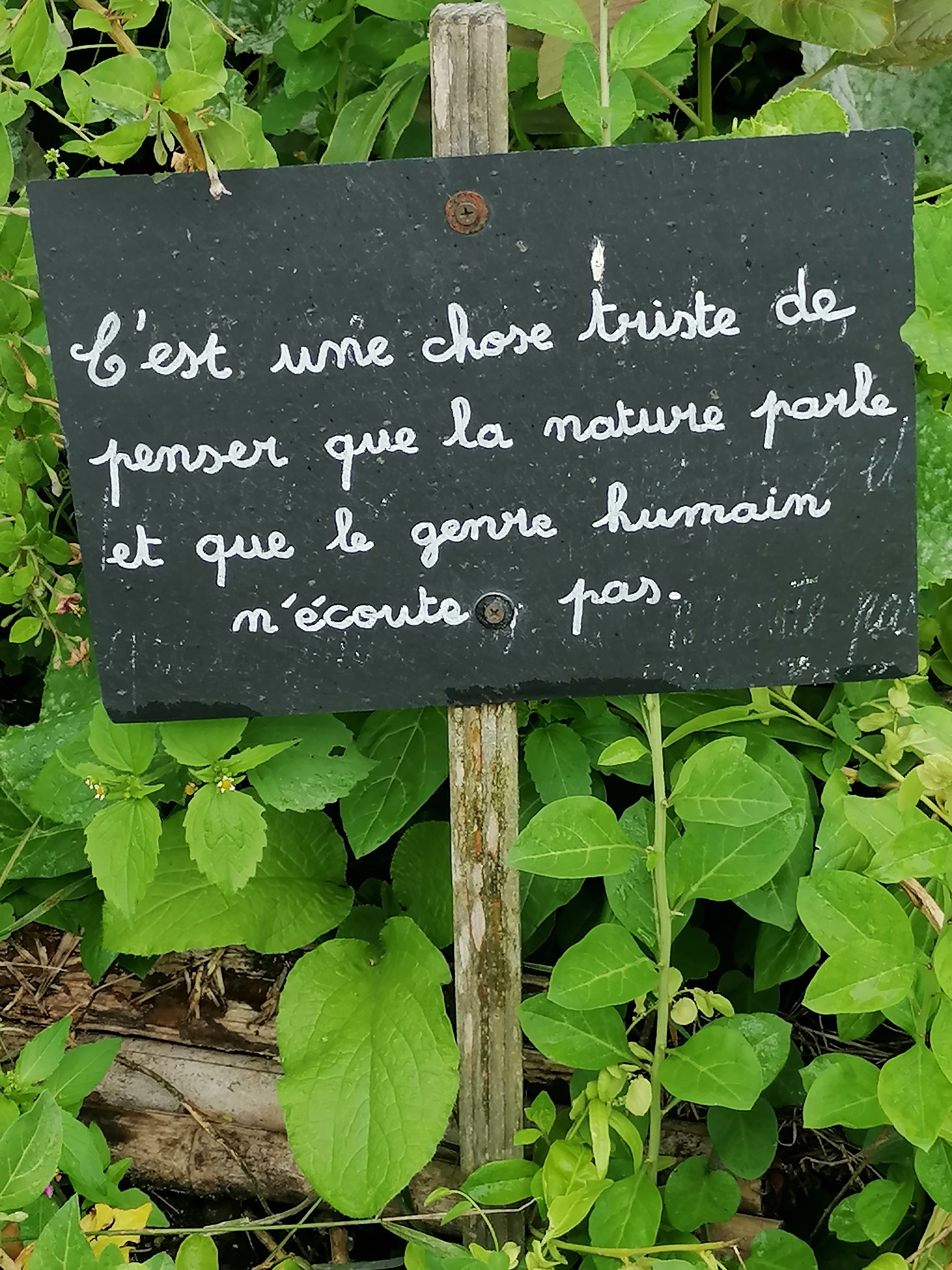 Photo n° 14 de l'avis de Matthieu.I fait le 05/08/2023 à 22:17