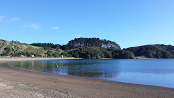 Mahinepua Bay Beach'in fotoğrafı çok temiz temizlik seviyesi ile