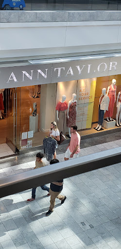 Ann Taylor