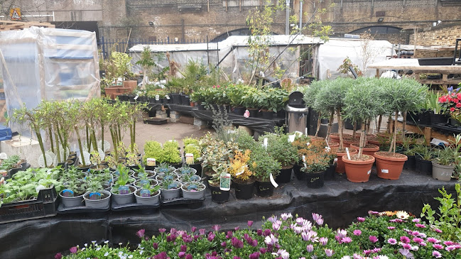 Spring Gardens Nursery - London