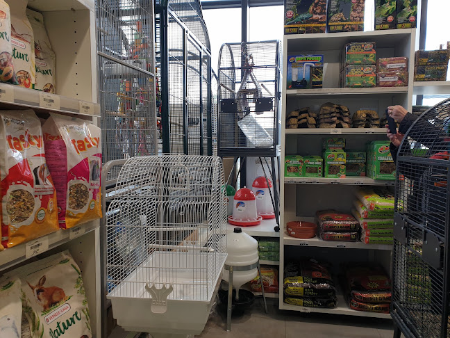 https://www.dogcatandco.be/