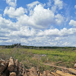 Photo n°4 de l'avis de Ton. fait le 27/07/2021 à 16:06 sur le  Hotel und Camping - Stell- und Zeltplatz an der Talsperre à Thale