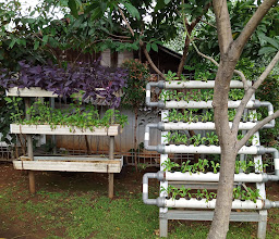 RPTRA Kampung Perigi photo