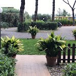 Photo n°5 de l'avis de Donatella.a fait le 25/06/2021 à 08:09 sur le  Antica Locanda Palmieri à Rome