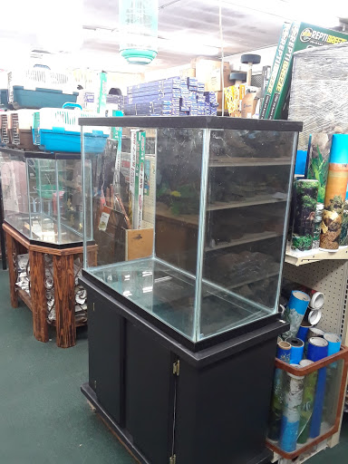 Pet Store «34 Pet Shop», reviews and photos, 3434 W Slauson Ave, Los Angeles, CA 90043, USA