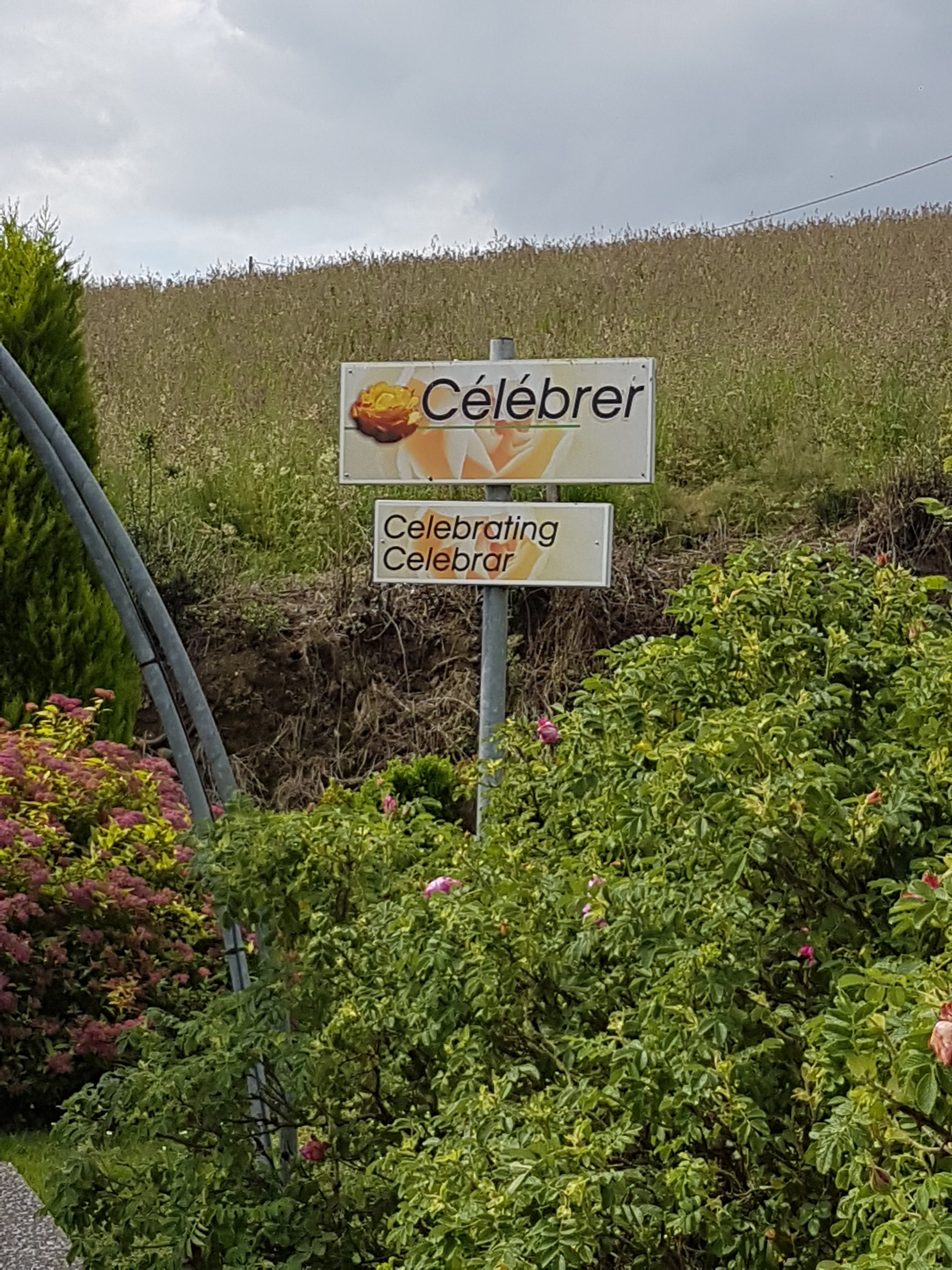 Photo n° 28 de l'avis de denis.o fait le 06/07/2018 à 20:25