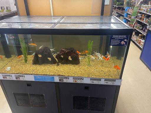 Pet Supply Store «Petco Animal Supplies», reviews and photos, 1150 Concord Ave #160, Concord, CA 94520, USA