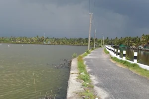 Chendamagalam Lake image