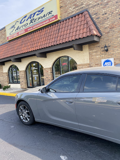 Auto Repair Shop «Cats Auto Repair», reviews and photos, 685 W Wise Rd, Schaumburg, IL 60193, USA