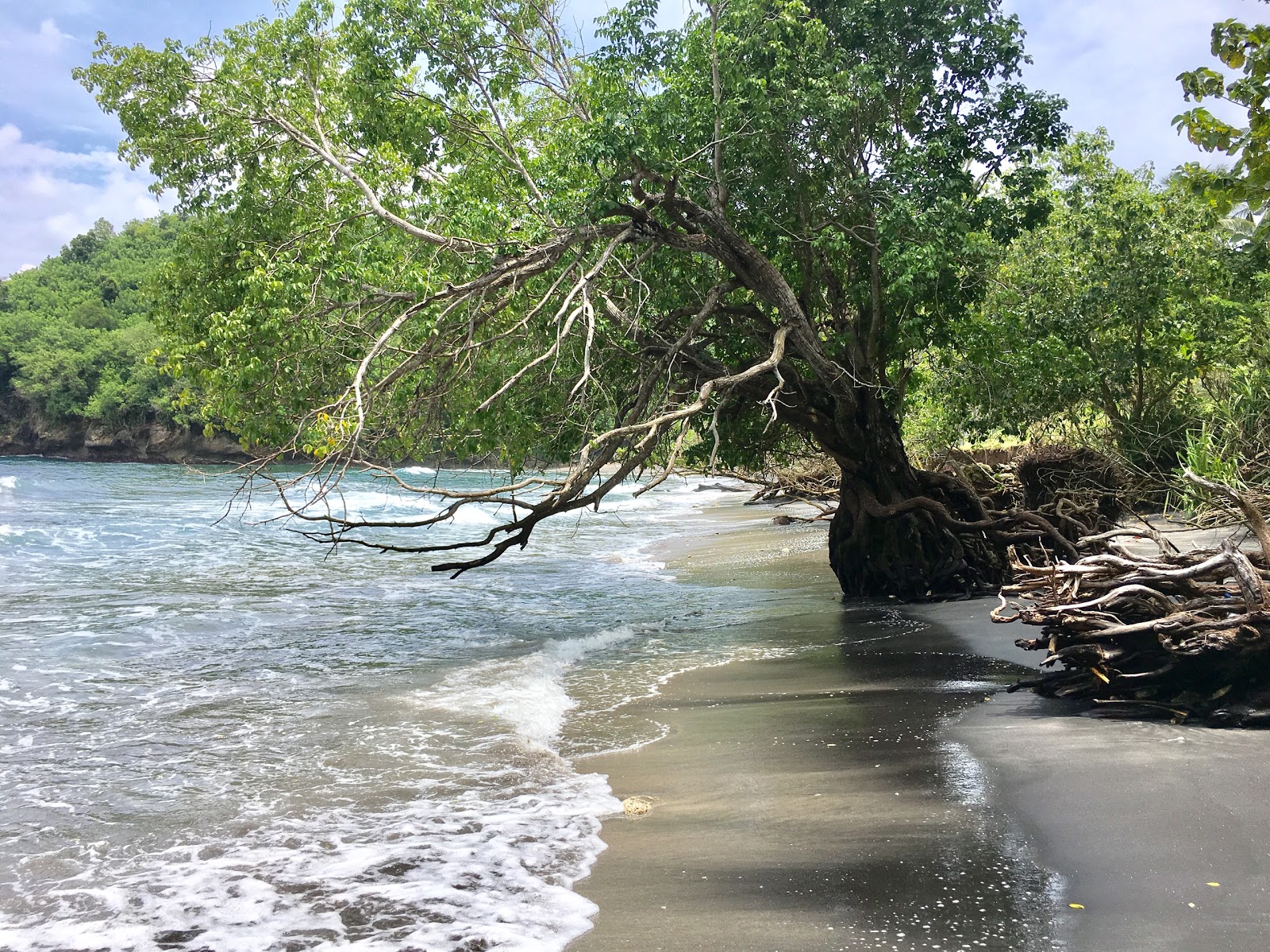Gamat Bay'in fotoğrafı dağlarla çevrili