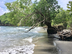 Gamat Bay'in fotoğrafı dağlarla çevrili