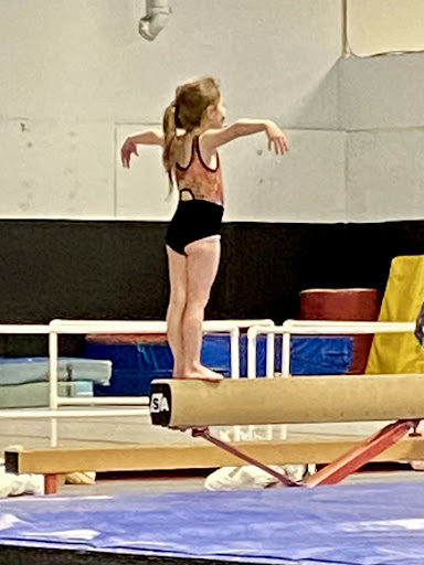 Gymnastics Center «Dutchess County Gymnastics Center», reviews and photos, 986 Main St #9, Fishkill, NY 12524, USA