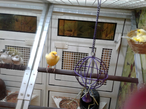 Pet Supply Store «PetSmart», reviews and photos, 2861 Veterans Memorial Pkwy, St Charles, MO 63303, USA