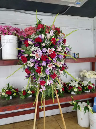 Florist «Avalon Flowers», reviews and photos, 1257 N Avalon Blvd, Wilmington, CA 90744, USA