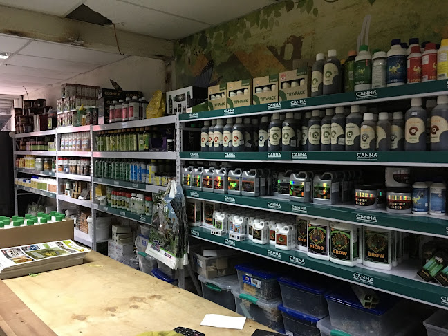 Imperio Seeds Grow shop Viña del Mar - Kit Indoor Completo y Semillas de Marihuana Granel