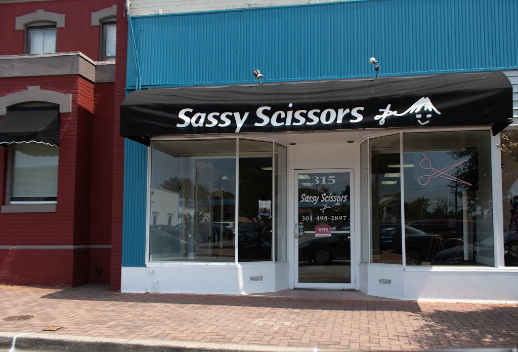 Sassy Scissors 20707