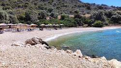 Foto von Paliourias beach mit sehr sauber Sauberkeitsgrad