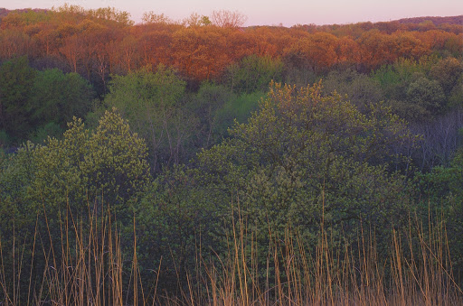 Nature Preserve «St. Croix Savanna Scientific and Natural Area (SNA)», reviews and photos, Osprey Blvd, Bayport, MN 55003, USA
