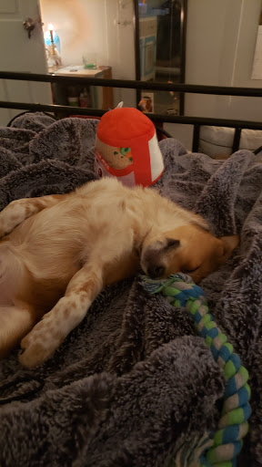 Pet Supply Store «Petco Animal Supplies», reviews and photos, 597 Hebron Rd #2, Heath, OH 43056, USA