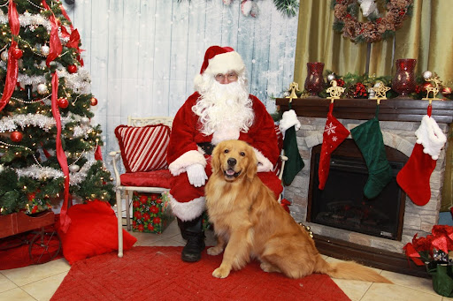 Pet Supply Store «The Hungry Puppy», reviews and photos, 1288 NJ-33, Farmingdale, NJ 07727, USA