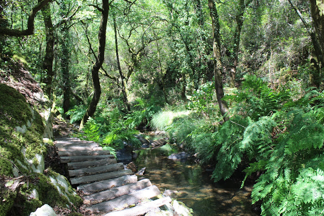 Avaliações doCascata 3 - PR2 Ribeira da Fraga - Vila Moinhos em Coimbra - Agência de viagens