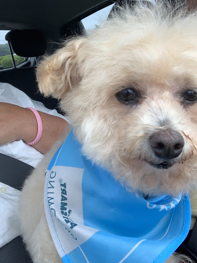 Pet Supply Store «PetSmart», reviews and photos, 88 Shops at 5 Way, Plymouth, MA 02360, USA