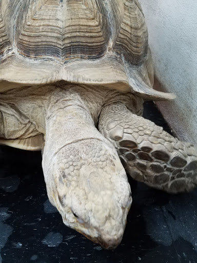 Pet Store «Pets Plus», reviews and photos, 151 Lincoln Hwy, Fairless Hills, PA 19030, USA