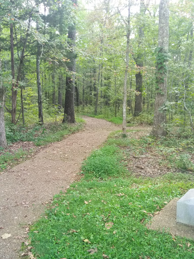Monument «Meriwether Lewis Monument», reviews and photos, Old Natchez Trace, Hohenwald, TN 38462, USA