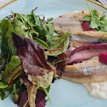 Photo n°3 de l'avis de Heike.z fait le 24/05/2023 à 09:53 sur le  Willkomm-Höft à Wedel