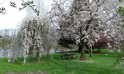 Arboretum à Châtillon-sur-Chalaronne