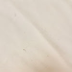 Photo n°2 de l'avis de rym.e fait le 26/10/2022 à 10:08 sur le  Best Western Plus Plaza Hotel Darmstadt à Darmstadt