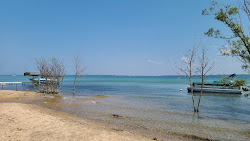 Photo de Traverse City Public Beach zone des équipements