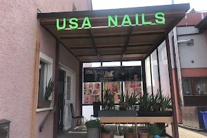 USA Nails by Tran Lan image